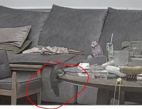기사이미지